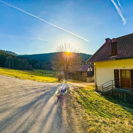 Chalet Cosy Lisiere De Foret Xonrupt-Longemer Ngoại thất bức ảnh