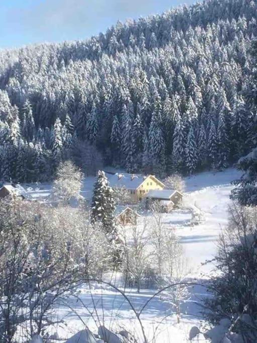 Chalet Cosy Lisiere De Foret Xonrupt-Longemer Ngoại thất bức ảnh