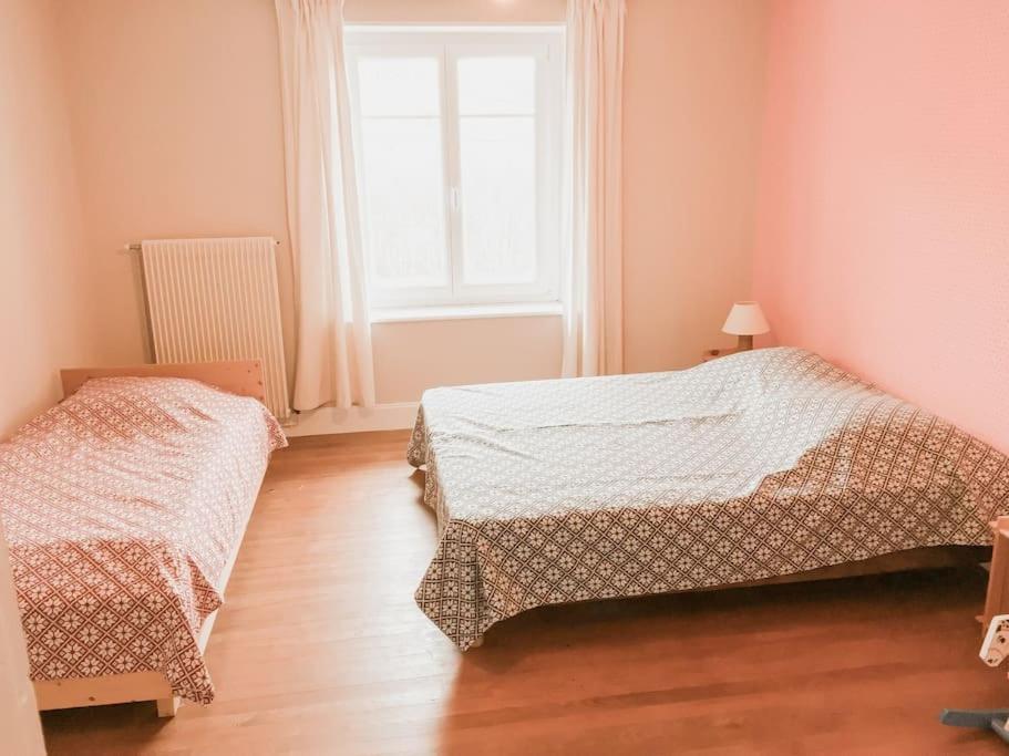 Chalet Cosy Lisiere De Foret Xonrupt-Longemer Ngoại thất bức ảnh
