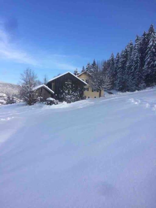 Chalet Cosy Lisiere De Foret Xonrupt-Longemer Ngoại thất bức ảnh