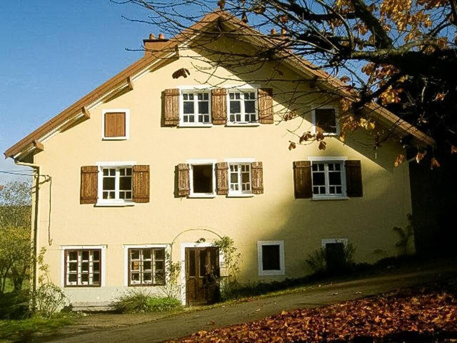 Chalet Cosy Lisiere De Foret Xonrupt-Longemer Ngoại thất bức ảnh